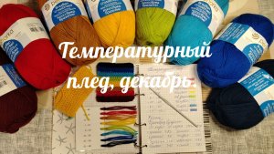 СП "Температурный плед с Катериной Шурм" 2026, декабрь, участник 2.