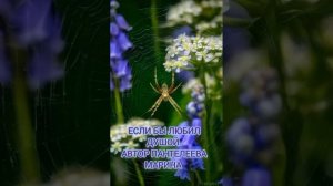 Если бы любил душой.