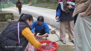 Cast Nets To Catch Fish And Take Them To The Market To Sell ⧸My Bushcraft