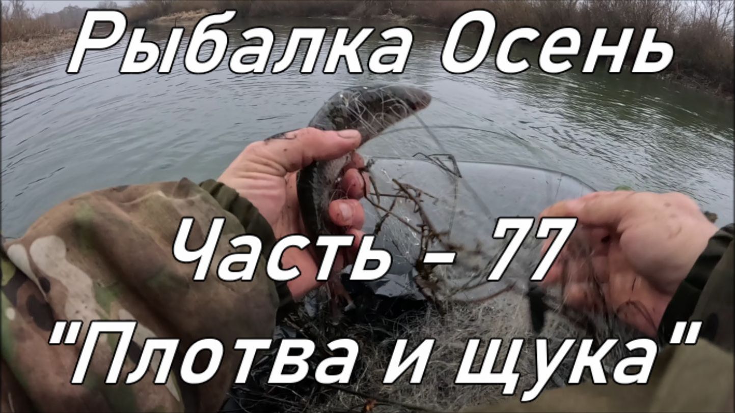 Рыбалка Осень. Часть - 77. "Плотва и щука". смотреть онлайн
