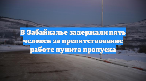 В Забайкалье задержали пять человек за препятствование работе пункта пропуска
