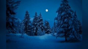 С Новым 2026 годом! ❄️❄️❄️