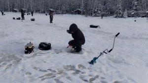 Сход форели.