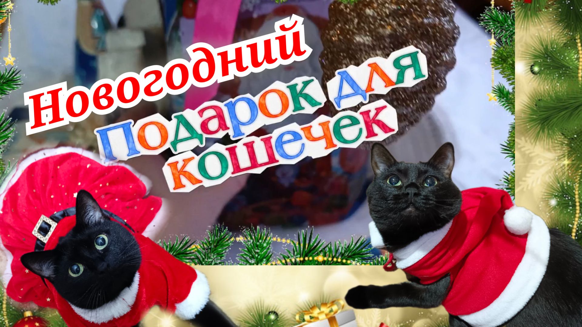 НОВОГОДНИЙ ПОДАРОК ДЛЯ КОШЕК. смотреть онлайн