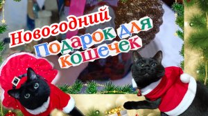 НОВОГОДНИЙ ПОДАРОК ДЛЯ КОШЕК.