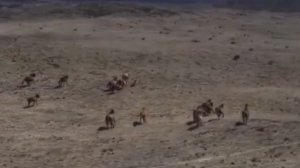 Куда можно пройти через Австралию?