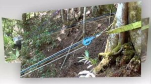 Тропа Самурая 2013