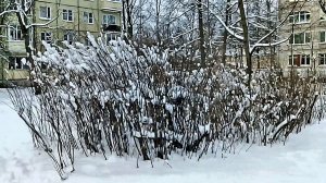 Последний день 2025 года