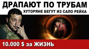 ДРАПАЮТ по ТРУБАМ. ХУТОРЯНЕ бегут из САЛО РЕЙХА