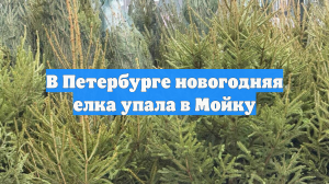 В Петербурге новогодняя елка упала в Мойку