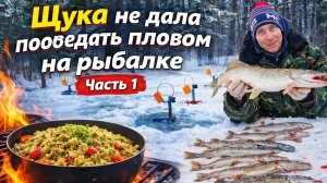 Зимняя рыбалка 2025-2026.Жерлицы. Рыбалка. Щука не дала пообедать пловом на рыбалке. Без монтажа. Ча