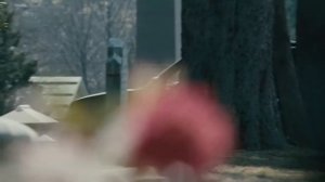 Законопослушный гражданин