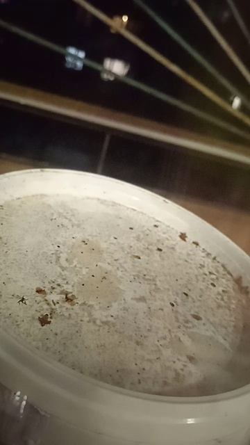 Новый год скоро смотреть онлайн