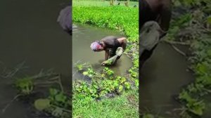 Удивительные рыболовные навыки бедняков.