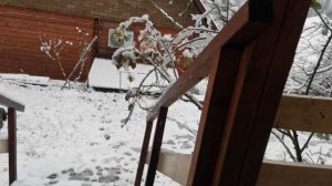 СОЧИ ГОРНОЕ ЛОО ВЕЧЕР 31.12.2025