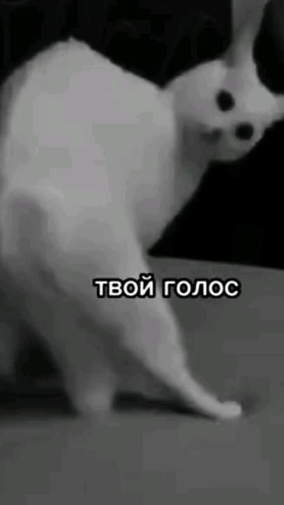 мини мемо эдит смотреть онлайн