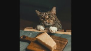 Случайный ренессанс  1 часть