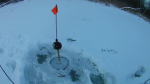 Рыбалка на жерлицы.Ловля щуки на живца.