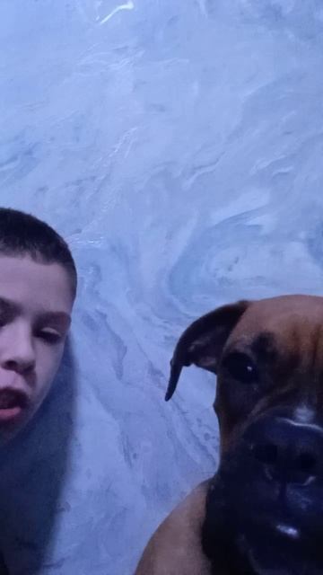 даже собака поздравляет с Новым годом смотреть онлайн