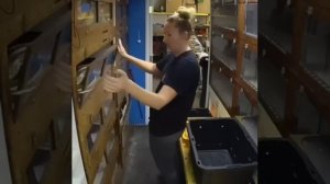 Видео от Залипательные, прикольные видеоролики бесплатно