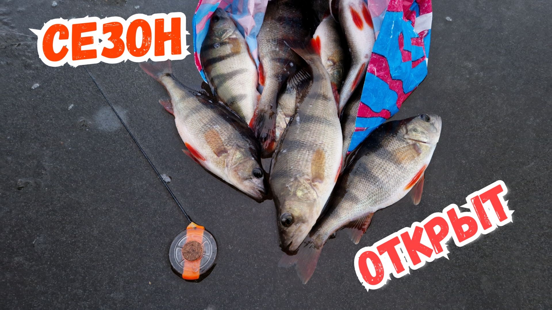 Первый лёд безмотылка - окунь смотреть онлайн