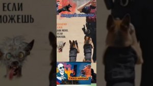 Разносы от Савелия