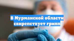 В Мурманской области свирепствует грипп
