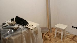 Шью собакам/ Новая швейная мастерская