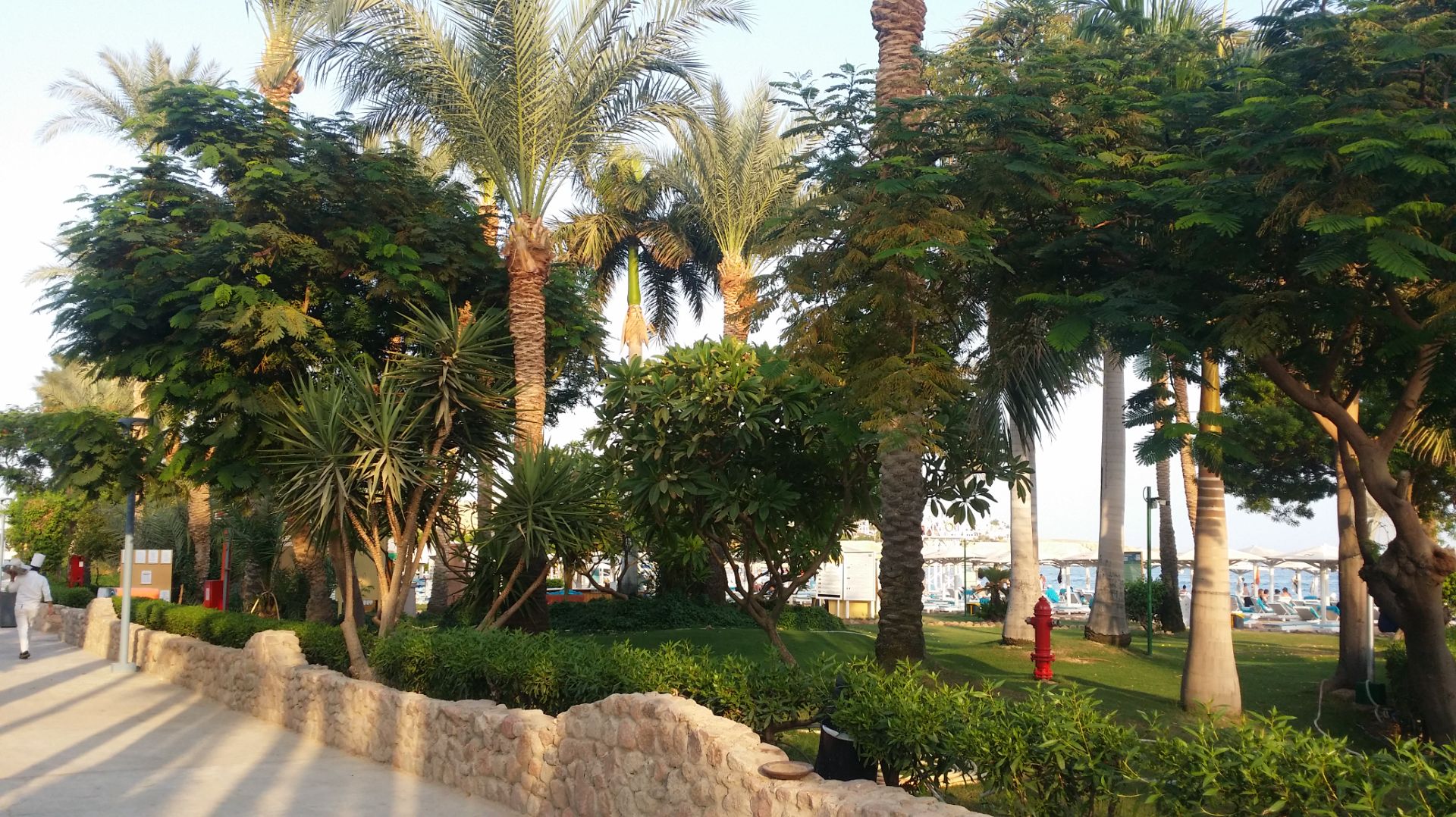 Египет-2023г. отель "Naama Bay Promenade". Пешком по променаду в Наама Бэй.