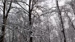 #зима пришла полным ходом в наш город