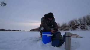 Пред новогодняя рыбалка на старице  подарила трофея.