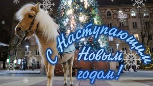 Друзья мои ! Поздравляю с наступающим  С Новым годом!