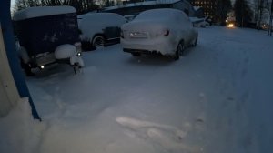 «Петровская коса: зарисовка зимнего света» #зарисовкасвета #петровскаякосарисунок#зимнийрассветпитер