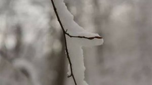 В Апшеронске устраняют последствия аномального снегопада