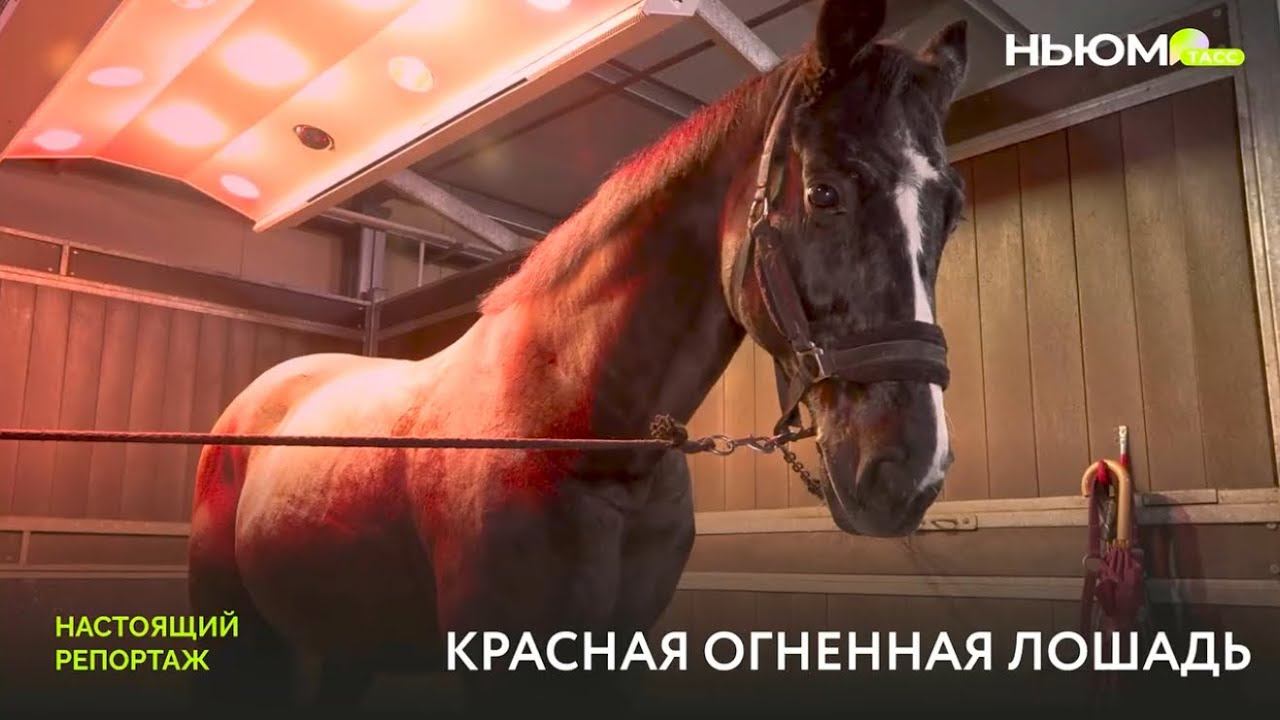 СИМВОЛ 2026 ГОДА смотреть онлайн