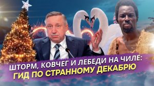 Штормовой финал года, где единственная правда — это уставшие лебеди (и мы вместе с ними)