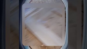 1000044221.mp4 (Собака смотрит на проектирование дома А-фрейм в графическом редакторе)