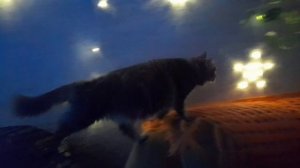 МЫ ПЕРВЫЕ ВСТРЕЧАЕМ НОВЫЙ ГОД!