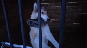 С наступающим новым годом!