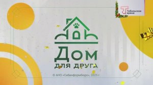 ДОМ ДЛЯ ДРУГА - ВЫПУСК 81