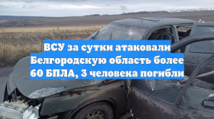 ВСУ за сутки атаковали Белгородскую область более 60 БПЛА, 3 человека погибли