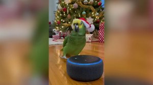 Видели видео: ролики, которые в уходящем году собрали миллионы просмотров.