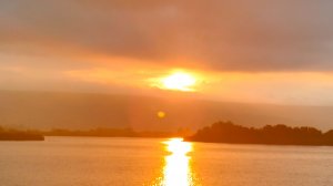 Журавлики приземлились _ ночное путешествие на север