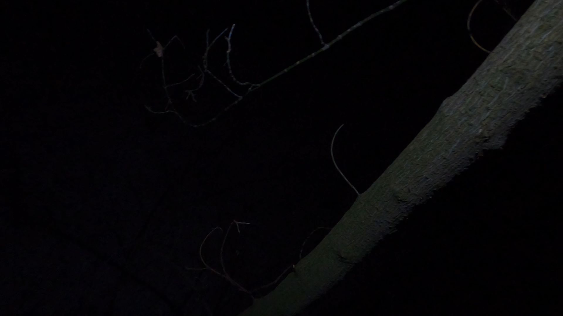 021421 смотреть онлайн