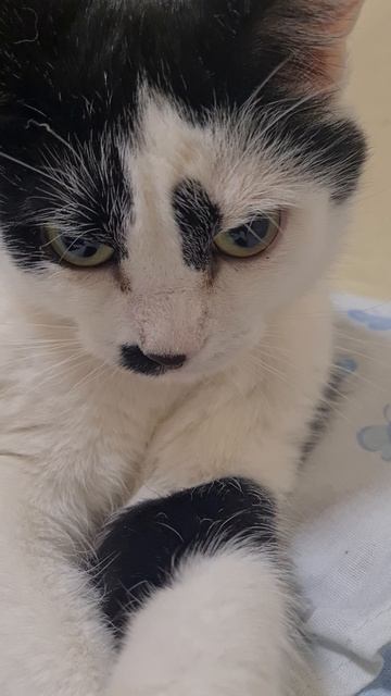 Нового года не будет