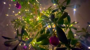 💫С Новым Годом💫 🎄 🎁