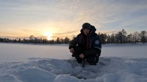 ЛОВИМ ЖИВЦОВ В ПАЛАТКЕ И СТАВИМ ЖЕРЛИЦЫ НА БОЛЬШИХ ТАЕЖНЫХ ЩУК #рыбалка #палатка #щуки #сарога #лайк