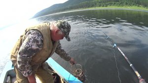 Хариус рыбалка