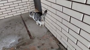 VLOG Закупка на Новый год🎄 Очень много снега⛄