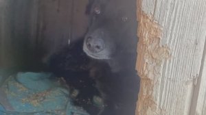 Херсонщина 31 декабря 2025 года с наступающим новым годом!